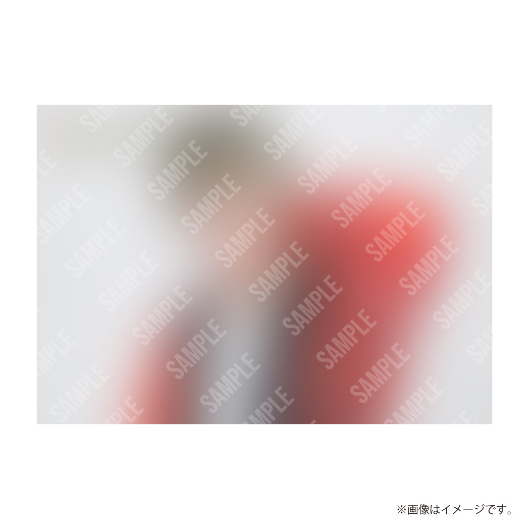サイン入り プロマイド 写真(48CARNIVAL 2021.12/24-25 in OSAKA)【販売終了】